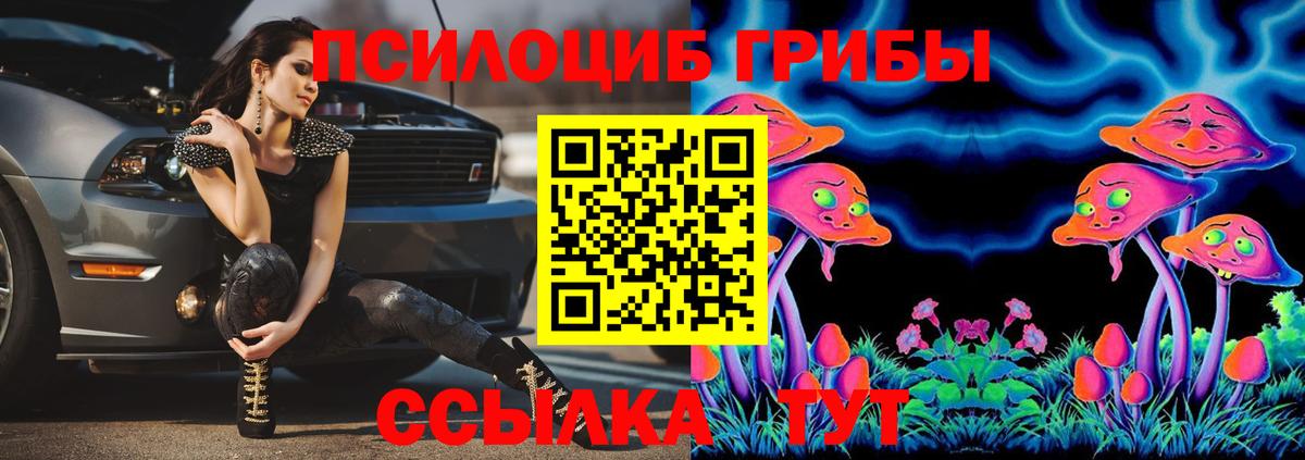 Псилоцибиновые грибы мухоморы  Вход с VPN  цены наркотик  Назрань  Псилоцибиновые грибы мицелий 